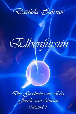 Daniela Zörner Elbenfürstin обложка книги
