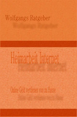 Wolfgangs Ratgeber Heimarbeit Internet обложка книги