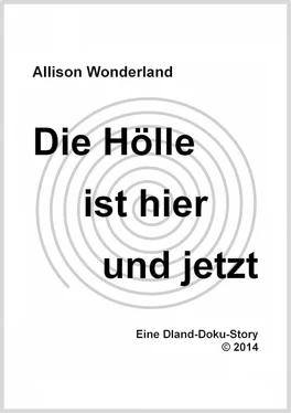 Allison Wonderland Die Hölle ist hier und jetzt обложка книги