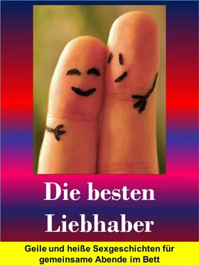 Melanie Mehler Die besten Liebhaber обложка книги