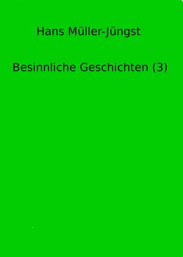 Hans Müller-Jüngst Besinnliche Geschichten (3) обложка книги