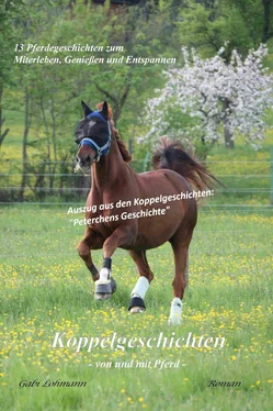 Gabi Lohmann Koppelgeschichten - von und mit Pferd; Peterchens Geschichte обложка книги
