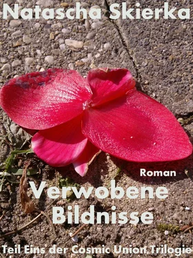 Natascha Skierka Verwobene Bildnisse обложка книги