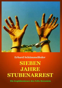 Erhard Schümmelfeder SIEBEN JAHRE STUBENARREST обложка книги
