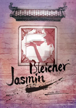 Wiebke Hein Bleicher Jasmin обложка книги