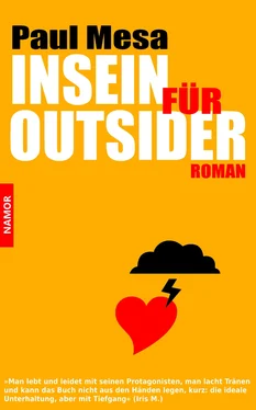 Paul Mesa Insein für Outsider обложка книги