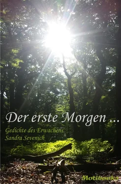 Sandra Sevenich Der erste Morgen … обложка книги