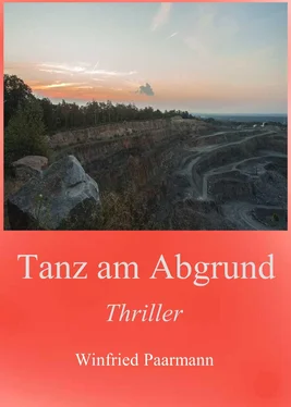 Winfried Paarmann Tanz am Abgrund обложка книги