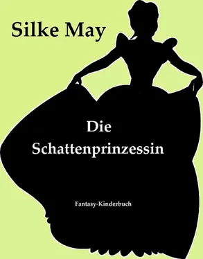 Silke May Die Schattenprinzessin обложка книги