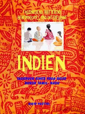 Birte Pröttel Indien, mein Reisetagebuch обложка книги