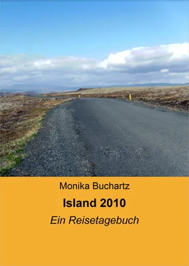 Monika Buchartz Island 2010 обложка книги