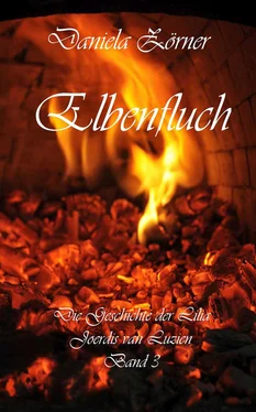Daniela Zörner Elbenfluch обложка книги