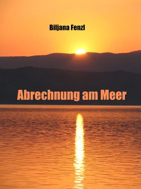 Biljana Fenzl Abrechnung am Meer обложка книги