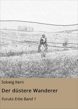 Solveig Kern Der düstere Wanderer обложка книги