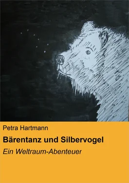 Petra Hartmann Bärentanz und Silbervogel обложка книги