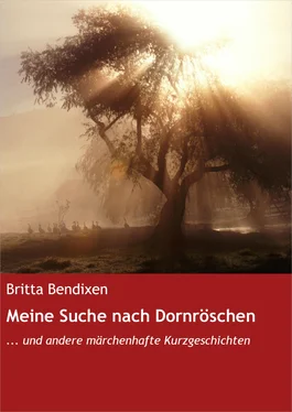 Britta Bendixen Meine Suche nach Dornröschen обложка книги