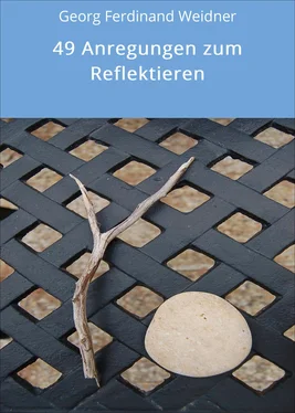 Georg Ferdinand Weidner 49 Anregungen zum Reflektieren обложка книги
