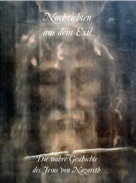 Hannes Hanses Nachrichten aus dem Exil обложка книги
