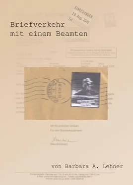 Barbara A. Lehner Briefverkehr mit einem Beamten обложка книги