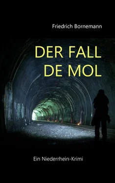 Friedrich Bornemann Der Fall de Mol обложка книги