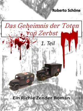 Roberto Schöne Das Geheimnis der Toten von Zerbst обложка книги