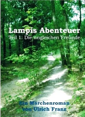Ulrich Franz Lampis Abenteuer обложка книги