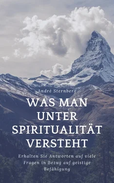 André Sternberg Was man unter Spiritualität versteht обложка книги