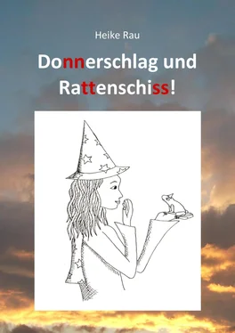 Heike Rau Donnerschlag und Rattenschiss! обложка книги