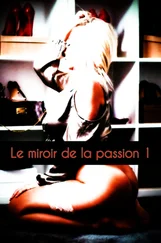 Laetitia Guivarché - Le miroir de la passion 1