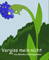 Monika Starzengruber - Vergiss mein nicht
