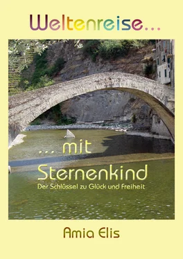 Amia Elis Weltenreise mit Sternenkind обложка книги