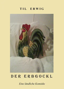 Til Erwig Der Erbgockl обложка книги