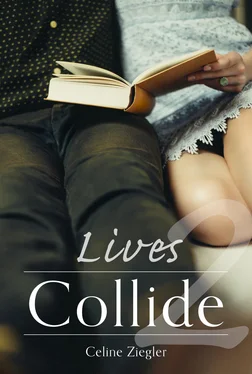 Celine Ziegler Lives Collide обложка книги