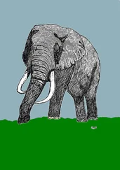 Johann D.W. George - Die Tolympiade