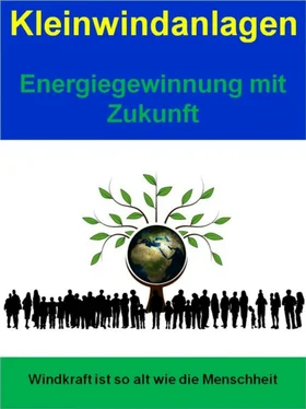 Sigmund Schmid Kleinwindanlagen - Energiegewinnung mit Zukunft обложка книги