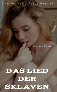 Irena-Sara Meister Das Lied der Sklaven обложка книги