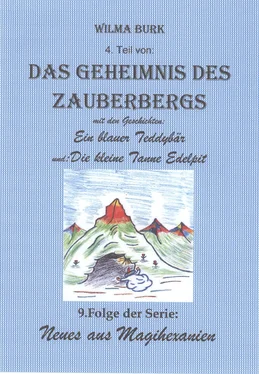 Wilma Burk Das Geheimnis des Zauberbergs 4. Teil обложка книги