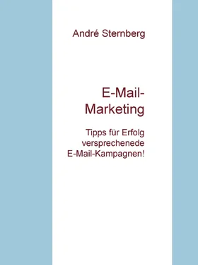André Sternberg E-Mail-Marketing обложка книги