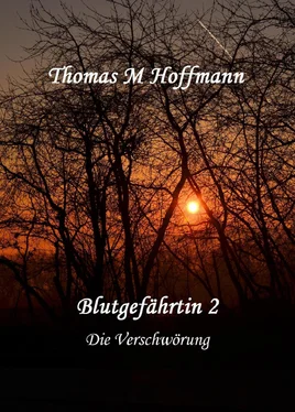 Thomas M Hoffmann Blutgefährtin 2 обложка книги