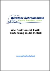 Roland Zingerle - Wie funktioniert Lyrik - Einführung in die Metrik