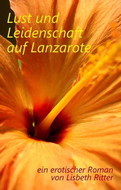 Lisbeth Ritter Lust und Leidenschaft auf Lanzarote обложка книги
