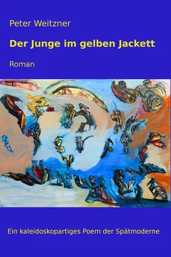 Peter Weitzner Der Junge im gelben Jackett обложка книги