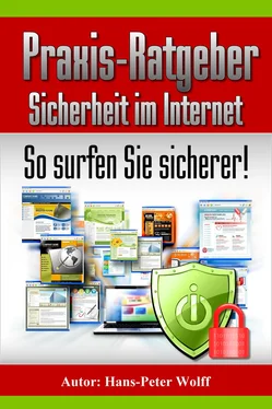 Hans-Peter Wolff Praxis-Ratgeber Sicherheit im Internet обложка книги