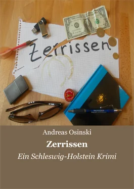 Andreas Osinski Zerrissen обложка книги