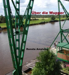 Renate Amelung - Über die Wupper