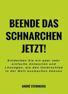 André Sternberg Beende das Schnarchen jetzt! обложка книги