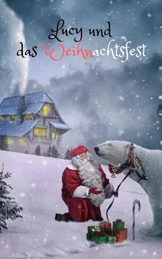 Jan Rybing Lucy und das Weihnachtsfest обложка книги