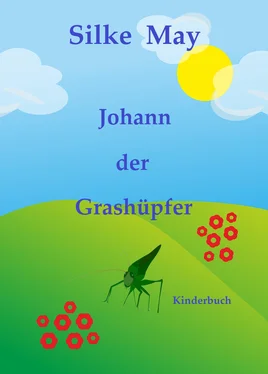 Silke May Johann der Grashüpfer обложка книги