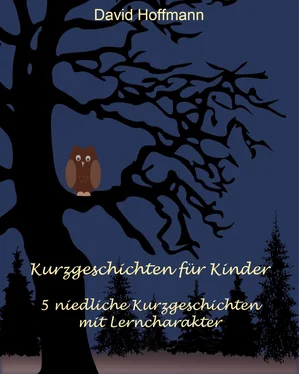 David Hoffmann Kurzgeschichten für Kinder обложка книги