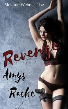 Melanie Weber-Tilse Revenge - Amys Rache обложка книги